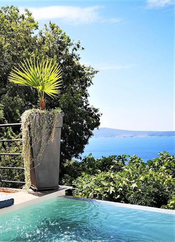Art Gallery House With A Small Relaxing Pool Crikvenica Extérieur photo